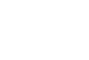 bloom logo white 1024x688